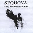 Sleep and Dream of Fire