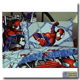 Spiderman Cityscape Full Sheet Set