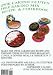 Books : Qwik Cakes Gluten Free Complete Baking Mix Recipe & Cookbook