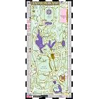 Streetwise Central Park Map - Laminated Pocket Map of Central Park, New York - Folding wallet size... by Michael Brown