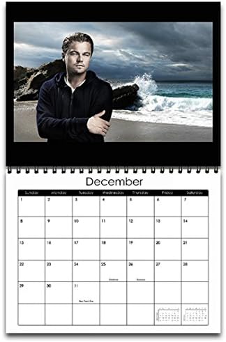 Leonardo DiCaprio Style 2016 Wall Calendar 17" x 11"