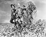RAY BOLGER AS HUNK/THE SCARECROW, BERT LAHR AS ZEKE/THE COWARDLY LION, JUDY GARLAND AS DOROTHY GALE, JACK HALEY AS HICKORY/THE TIN MAN FROM THE WIZARD OF OZ - Licensed Photo - Professional Photographic Print - Picture SIZE 10x8 (25x20cm)