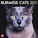 Burmese Cats 2011 Square 12X12 Wall Calendar (Multilingual Edition)