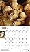For the Love of Golden Retrievers 2016 Calendar
