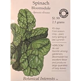 Certified Organic Spinach Bloomsdale Heirloom Seeds