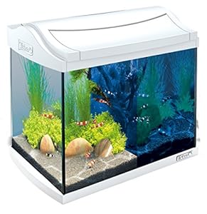 Tetra 244863 AquaArt Aquarium en kit complet avec LED Blanc 20 l