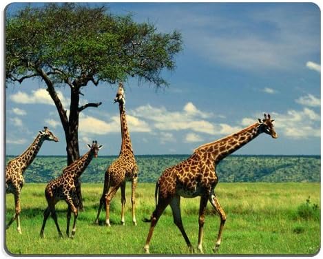 Giraffe Frica Wildlife Grassland Grazing Sky Eeating Pattern Animal mouse pad anime mouse mats with wrist support 7.5*9 inch