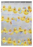 Creative Bath Squeaky Clean Shower curtain