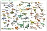 (24x36) Laminated Dinosaur Evolution Educational Science Chart Poster