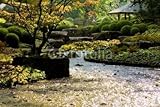 IMAGE OF Wallmonkeys Peel and Stick Wall Decals - Japanese Park - 72