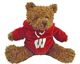 Champion Treasures NCAA Wisconsin Badgers Hoodie Bear