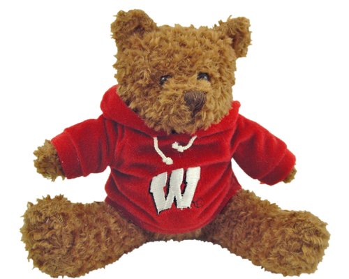 Champion Treasures NCAA Wisconsin Badgers Hoodie Bear