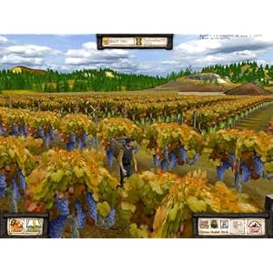 Weinanbau-Simulator