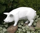 Eigenschaften   / Ferkel SCHNUFFI Glücksschwein Schwein Dekofigur NEU!
