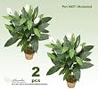 TWO 3' Artificial Spathiphyllum Silk Plants, with No Pot