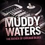 Muddy Waters - The Father of Chicago Blues