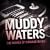 Muddy Waters - The Father of Chicago Blues