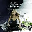 Wildflower