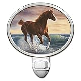 Surf Dancer Night Light: Fits Horizontal And Vertical Outlets by The Bradford Exchange