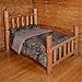 The Woods Premium Microfiber CAMO Comforter (Natural, Queen)