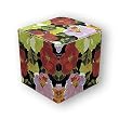 Nasturtiums - One Piece Gift Boxes (2" x 2" x 2")