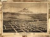 GIANT Wall Sticker of: Panoramic map of historic Yreka & Mt. Shasta, Siskiyou County, Cal., looking south east / drawn & published by Fred A. Walpole.