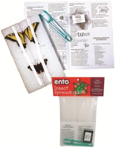 Insect Spreading Kit - Kids Bug Spreading Kit