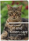 Cat and kitten care