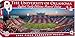 MasterPieces Collegiate Oklahoma Sooners 1000 Piece Stadium Panoramic Jigsaw Puzzle