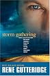Storm Gathering (The Storm Series #2)