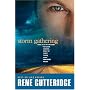 Storm Gathering (The Storm Series #2)