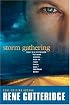 Storm Gathering (The Storm Series #2)
