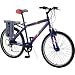 EZIP MTN Trailz Electric Mountain Bike (26-Inch Wheels)