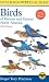 A Field Guide to the Birds of Eastern and Central North America