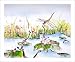 Dragonfly Water Lilies Watercolor Art Prints of Dragonflies and Lotus Flowers, Matted to 11x14
