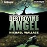 Destroying Angel: Righteous Series, Book 5