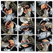 B Dazzle Owls Scramble Squares 9 Piece Puzzle