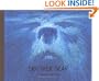Brother Bear: A Transformation Tale (Welcome Book)