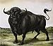 San Fermin