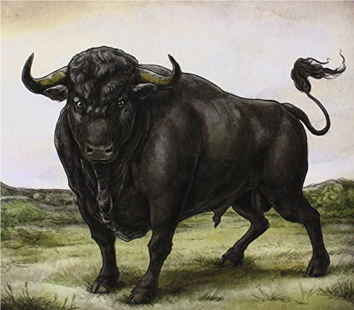 San Fermin - San Fermin - Zortam Music