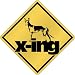 New  Pharaoh Hound X-Ing / Xing  Crossing Dog