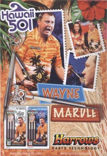 Harrows Hawaii501 Wayne Mardle（ウェイン・マーデル） ソフトダーツ