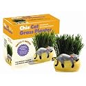 Chia Cat Grass Planter - Snoozy Kitty