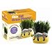 Chia Cat Grass Planter Snoozy Kitty