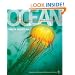 Ocean (American Museum of Natural History)