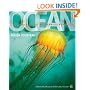 Ocean (American Museum of Natural History)