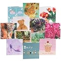 Value greeting card selection pack