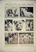 1925 KENNEL CLUB DOGS ALEXANDRA PALACE BULLDOG AFGHAN
