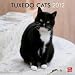 Tuxedo Cats 2012 Square 12X12 Wall Calendar (Multilingual Edition)