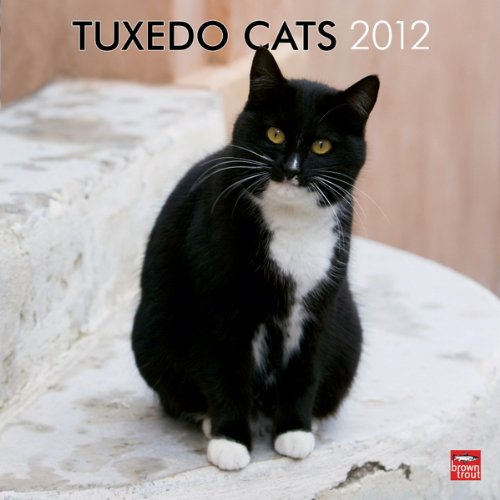 Tuxedo Cats 2012 Square 12X12 Wall Calendar (Multilingual 
